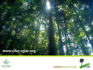 Sustainable forest management, biodiversity and carbon: The case for ...