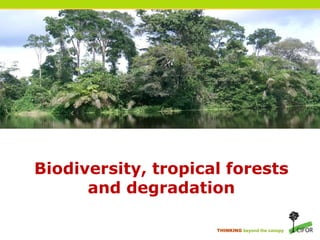 Sustainable forest management, biodiversity and carbon: The case for ...