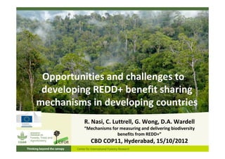 Opportunities and challenges to
 developing REDD+ benefit sharing
mechanisms in developing countries
          R. Nasi, C. Luttrell, G. Wong, D.A. Wardell
          “Mechanisms for measuring and delivering biodiversity
                        benefits from REDD+”
             CBD COP11, Hyderabad, 15/10/2012
 