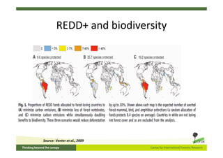 REDD+ and biodiversity




Source: Venter et al., 2009
 