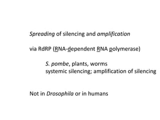 Spreading of silencing and amplification

via RdRP (RNA-dependent RNA polymerase)

      S. pombe, plants, worms
      systemic silencing; amplification of silencing


Not in Drosophila or in humans
 