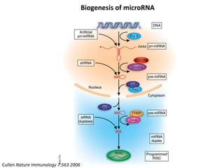 Biogenesis of microRNA




Cullen Nature Immunology 7:563 2006
 