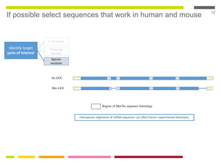 12
If possible select sequences that work in human and mouse
Identify target
gene of interest
2° Structure
Transcript
variants
Species
variation
Hs GOI
Mm GOI
Region of Mm/Hs sequence homology
Interspecies alignment of mRNA sequence can affect future experimental directions.
 