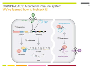 18
CRISPR/CAS9: A bacterial immune system
We’ve learned how to highjack it!
 