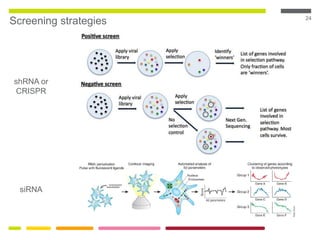 24
Screening strategies
shRNA or
CRISPR
siRNA
 