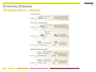 27
Screening strategies
Off-target effects: validate!
 