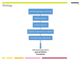 8
Strategy
Optimized experiment:
gene of interest
knockdown
Identify target gene of interest
DsiRNA selection
Cell line selection
Optimize experimental conditions
Controlled pilot experiment
 