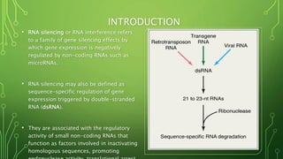 Rna silencing in plants | PPTX