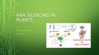 RNA SILENCING IN
PLANTS
BY
SHRUSHTI JOSHI
1850302
 