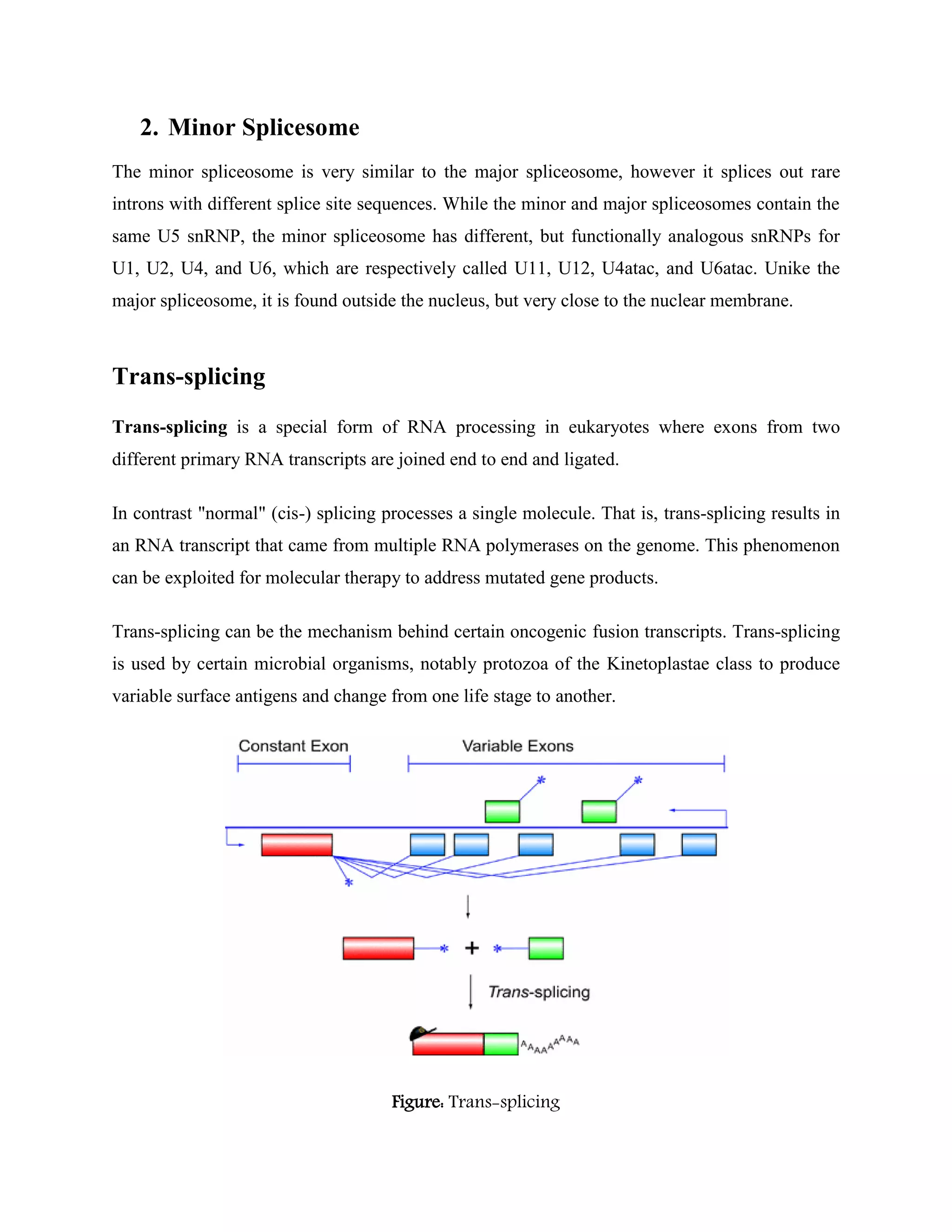 2. Minor Splicesome
The minor spliceosome is very similar to the major spliceosome, however it splices out rare
introns with different splice site sequences. While the minor and major spliceosomes contain the
same U5 snRNP, the minor spliceosome has different, but functionally analogous snRNPs for
U1, U2, U4, and U6, which are respectively called U11, U12, U4atac, and U6atac. Unike the
major spliceosome, it is found outside the nucleus, but very close to the nuclear membrane.
Trans-splicing
Trans-splicing is a special form of RNA processing in eukaryotes where exons from two
different primary RNA transcripts are joined end to end and ligated.
In contrast "normal" (cis-) splicing processes a single molecule. That is, trans-splicing results in
an RNA transcript that came from multiple RNA polymerases on the genome. This phenomenon
can be exploited for molecular therapy to address mutated gene products.
Trans-splicing can be the mechanism behind certain oncogenic fusion transcripts. Trans-splicing
is used by certain microbial organisms, notably protozoa of the Kinetoplastae class to produce
variable surface antigens and change from one life stage to another.
Figure: Trans-splicing
 