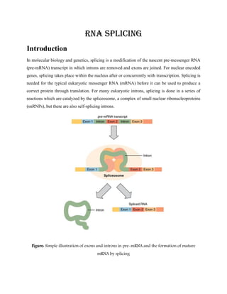 RNA Splicing
Introduction
In molecular biology and genetics, splicing is a modification of the nascent pre-messenger RNA
(pre-mRNA) transcript in which introns are removed and exons are joined. For nuclear encoded
genes, splicing takes place within the nucleus after or concurrently with transcription. Splicing is
needed for the typical eukaryotic messenger RNA (mRNA) before it can be used to produce a
correct protein through translation. For many eukaryotic introns, splicing is done in a series of
reactions which are catalyzed by the spliceosome, a complex of small nuclear ribonucleoproteins
(snRNPs), but there are also self-splicing introns.
Figure: Simple illustration of exons and introns in pre-mRNA and the formation of mature
mRNA by splicing
 