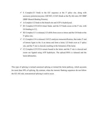  E Complex-U1 binds to the GU sequence at the 5' splice site, along with
accessory proteins/enzymes ASF/SF2, U2AF (binds at the Py-AG site), SF1/BBP
(BBP=Branch Binding Protein);
 A Complex-U2 binds to the branch site and ATP is hydrolyzed;
 B1 Complex-U5/U4/U6 trimer binds, and the U5 binds exons at the 5' site, with
U6 binding to U2;
 B2 Complex-U1 is released, U5 shifts from exon to intron and the U6 binds at the
5' splice site;
 C1 Complex-U4 is released, U6/U2 catalyzes transesterification, that make 5' end
of introns ligate to the A on intron and form a lariat, U5 binds exon at 3' splice
site, and the 5' site is cleaved, resulting in the formation of the lariat;
 C2 Complex-U2/U5/U6 remain bound to the lariat, and the 3' site is cleaved and
exons are ligated using ATP hydrolysis. The spliced RNA is released and the
lariat debranches.
This type of splicing is termed canonical splicing or termed the lariat pathway, which accounts
for more than 99% of splicing. By contrast, when the intronic flanking sequences do not follow
the GU-AG rule, noncanonical splicing is said to occur.
 