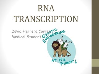 RNA
TRANSCRIPTION
David Herrera Correa
Medical Student
 