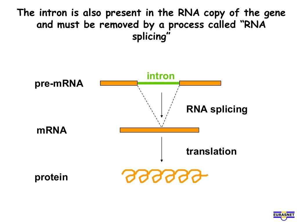 Rna splicing