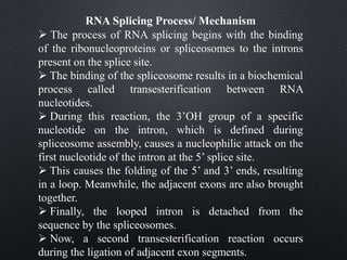 RNA Splicing Process/ Mechanism
 The process of RNA splicing begins with the binding
of the ribonucleoproteins or spliceosomes to the introns
present on the splice site.
 The binding of the spliceosome results in a biochemical
process called transesterification between RNA
nucleotides.
 During this reaction, the 3’OH group of a specific
nucleotide on the intron, which is defined during
spliceosome assembly, causes a nucleophilic attack on the
first nucleotide of the intron at the 5’ splice site.
 This causes the folding of the 5’ and 3’ ends, resulting
in a loop. Meanwhile, the adjacent exons are also brought
together.
 Finally, the looped intron is detached from the
sequence by the spliceosomes.
 Now, a second transesterification reaction occurs
during the ligation of adjacent exon segments.
 