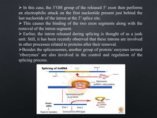 In this case, the 3’OH group of the released 5’ exon then performs
an electrophilic attack on the first nucleotide present just behind the
last nucleotide of the intron at the 3’ splice site.
 This causes the binding of the two exon segments along with the
removal of the intron segment.
 Earlier, the intron released during splicing is thought of as a junk
unit. Still, it has been recently observed that these introns are involved
in other processes related to proteins after their removal.
Besides the spliceosomes, another group of protein/ enzymes termed
‘ribozymes’ are also involved in the control and regulation of the
splicing process.
 