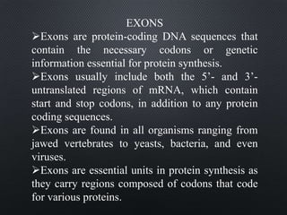 EXONS
Exons are protein-coding DNA sequences that
contain the necessary codons or genetic
information essential for protein synthesis.
Exons usually include both the 5’- and 3’-
untranslated regions of mRNA, which contain
start and stop codons, in addition to any protein
coding sequences.
Exons are found in all organisms ranging from
jawed vertebrates to yeasts, bacteria, and even
viruses.
Exons are essential units in protein synthesis as
they carry regions composed of codons that code
for various proteins.
 