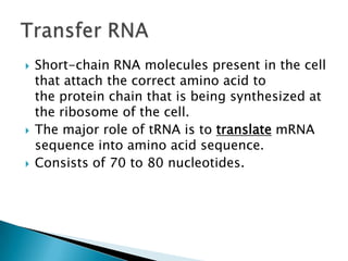    Short-chain RNA molecules present in the cell
    that attach the correct amino acid to
    the protein chain that is being synthesized at
    the ribosome of the cell.
   The major role of tRNA is to translate mRNA
    sequence into amino acid sequence.
   Consists of 70 to 80 nucleotides.
 