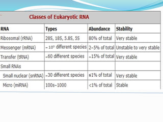 RNA structure | PPTX