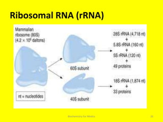 Ribosomal RNA (rRNA)
26Biochemistry For Medics
 