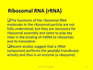 Ribosomal RNA (rRNA)
The functions of the ribosomal RNA
molecules in the ribosomal particle are not
fully understood, but they are necessary for
ribosomal assembly and seem to play key
roles in the binding of mRNA to ribosomes
and its translation
Recent studies suggest that a rRNA
component performs the peptidyl transferase
activity and thus is an enzyme (a ribozyme).
27Biochemistry For Medics
 