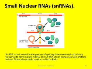 Small Nuclear RNAs (snRNAs).
Sn RNA s are involved in the process of splicing (intron removal) of primary
transcript to form mature m RNA. The Sn RNA s form complexes with proteins
to form Ribonucleoprotein particles called snRNPs
30Biochemistry For Medics
 
