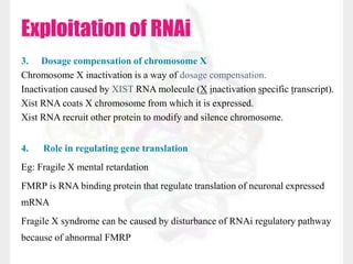 3. Dosage compensation of chromosome X
Chromosome X inactivation is a way of dosage compensation.
Inactivation caused by XIST RNA molecule (X inactivation specific transcript).
Xist RNA coats X chromosome from which it is expressed.
Xist RNA recruit other protein to modify and silence chromosome.
4. Role in regulating gene translation
Eg: Fragile X mental retardation
FMRP is RNA binding protein that regulate translation of neuronal expressed
mRNA
Fragile X syndrome can be caused by disturbance of RNAi regulatory pathway
because of abnormal FMRP
Exploitation of RNAi
 