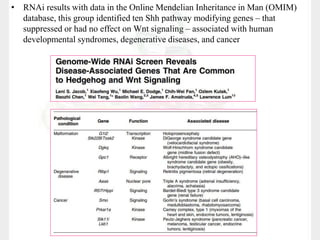 • RNAi results with data in the Online Mendelian Inheritance in Man (OMIM)
database, this group identified ten Shh pathway modifying genes – that
suppressed or had no effect on Wnt signaling – associated with human
developmental syndromes, degenerative diseases, and cancer
 