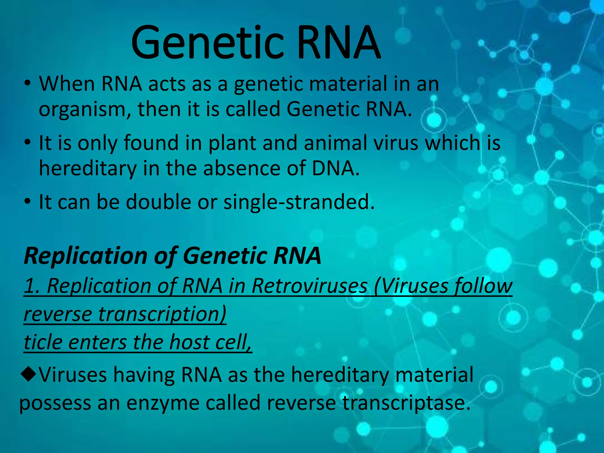 RNA_ Structure-WPS Office.pptx