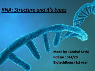 RNA: Structure and it's types
Made by : Anshul Sethi
Roll no : 614/20
Biotech(hons) 1st year
 