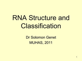 Comprehensive Overview of RNA Structure, Function, and Classification | PPT