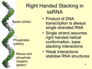 Comprehensive Overview of RNA Structure, Function, and Classification | PPT