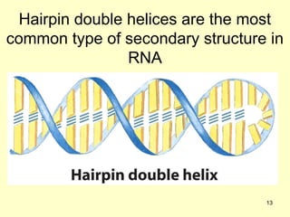 Comprehensive Overview of RNA Structure, Function, and Classification | PPT
