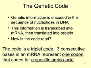 Comprehensive Overview of RNA Structure, Function, and Classification | PPT