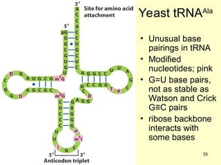 Trnaala Comprehensive Overview of RNA Structure, Function, and Classification | PPT