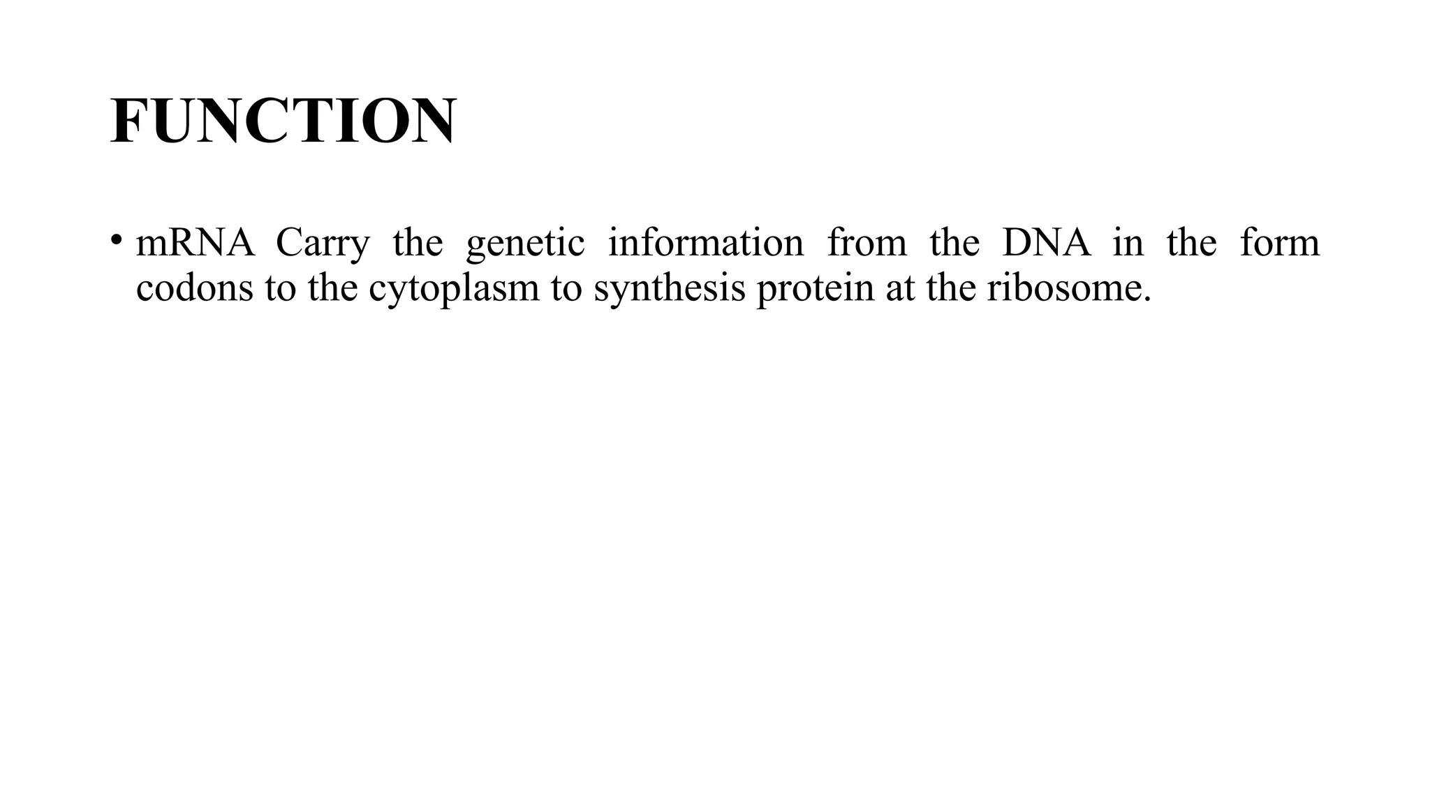FUNCTION
• mRNA Carry the genetic information from the DNA in the form
codons to the cytoplasm to synthesis protein at the ribosome.
 