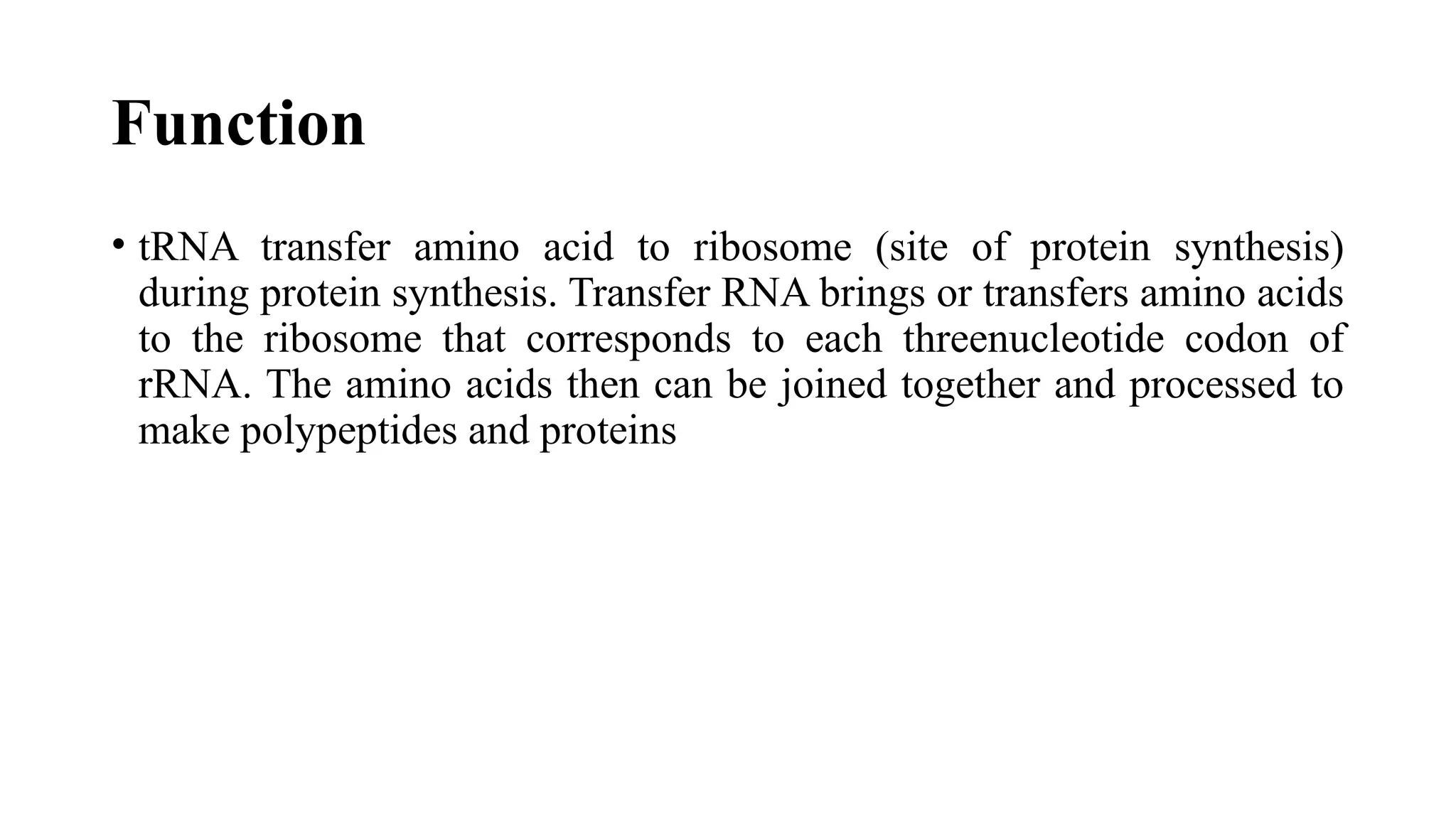 Function
• tRNA transfer amino acid to ribosome (site of protein synthesis)
during protein synthesis. Transfer RNA brings or transfers amino acids
to the ribosome that corresponds to each threenucleotide codon of
rRNA. The amino acids then can be joined together and processed to
make polypeptides and proteins
 