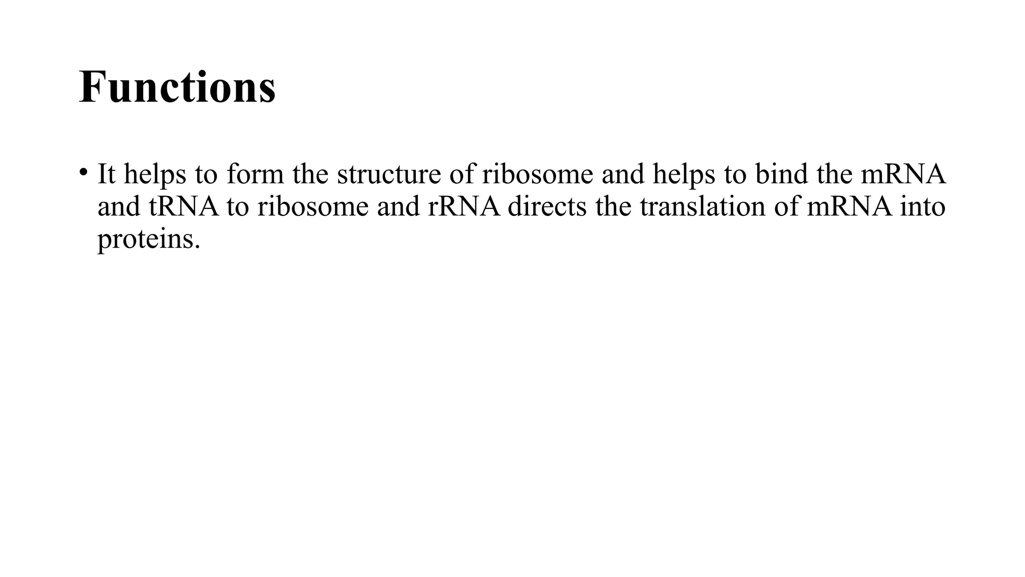 Functions
• It helps to form the structure of ribosome and helps to bind the mRNA
and tRNA to ribosome and rRNA directs the translation of mRNA into
proteins.
 