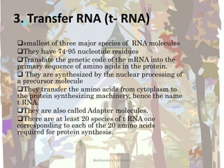 3. Transfer RNA (t- RNA)
smallest of three major species of RNA molecules
They have 74-95 nucleotide residues
Translate the genetic code of the mRNA into the
primary sequence of amino acids in the protein.
 They are synthesized by the nuclear processing of
a precursor molecule
They transfer the amino acids from cytoplasm to
the protein synthesizing machinery, hence the name
t RNA.
They are also called Adapter molecules.
There are at least 20 species of t RNA one
corresponding to each of the 20 amino acids
required for protein synthesis.
11Biochemistry For Medics
 
