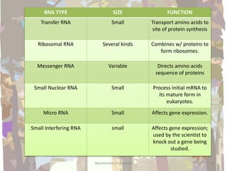 Biochemistry For Medics 26
RNA TYPE SIZE FUNCTION
Transfer RNA Small Transport amino acids to
site of protein synthesis
Ribosomal RNA Several kinds Combines w/ proteins to
form ribosomes.
Messenger RNA Variable Directs amino acids
sequence of proteins
Small Nuclear RNA Small Process initial mRNA to
its mature form in
eukaryotes.
Micro RNA Small Affects gene expression.
Small Interfering RNA small Affects gene expression;
used by the scientist to
knock out a gene being
studied.
 