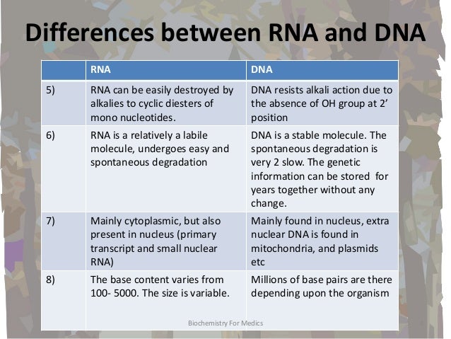 rna structures types and functions function of mrna