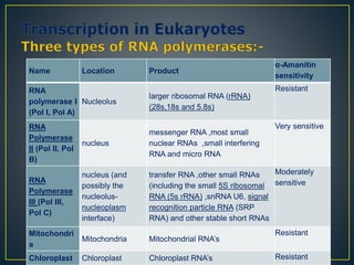 Name Location Product
α-Amanitin
sensitivity
RNA
polymerase I
(Pol I, Pol A)
Nucleolus
larger ribosomal RNA (rRNA)
(28s,18s and 5.8s)
Resistant
RNA
Polymerase
II (Pol II, Pol
B)
nucleus
messenger RNA ,most small
nuclear RNAs ,small interfering
RNA and micro RNA
Very sensitive
RNA
Polymerase
III (Pol III,
Pol C)
nucleus (and
possibly the
nucleolus-
nucleoplasm
interface)
transfer RNA ,other small RNAs
(including the small 5S ribosomal
RNA (5s rRNA) ,snRNA U6, signal
recognition particle RNA (SRP
RNA) and other stable short RNAs
Moderately
sensitive
Mitochondri
a
Mitochondria Mitochondrial RNA’s
Resistant
Chloroplast Chloroplast Chloroplast RNA’s Resistant
 