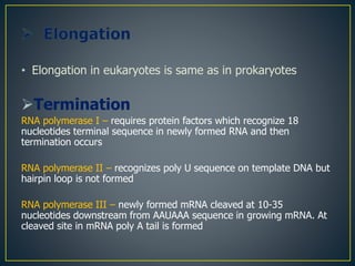 • Elongation in eukaryotes is same as in prokaryotes
Termination
RNA polymerase I – requires protein factors which recognize 18
nucleotides terminal sequence in newly formed RNA and then
termination occurs
RNA polymerase II – recognizes poly U sequence on template DNA but
hairpin loop is not formed
RNA polymerase III – newly formed mRNA cleaved at 10-35
nucleotides downstream from AAUAAA sequence in growing mRNA. At
cleaved site in mRNA poly A tail is formed
 
