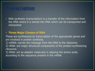 • RNA synthesis (transcription) is a transfer of the information from
the DNA where it is stored into RNA which can be transported and
interpreted
• Three Major Classes of RNA
These are synthesized by transcription of the appropriate genes and
are involved in protein synthesis.
1) mRNA- carries the message from the DNA to the ribosome.
2) rRNA- are major structural components of the protein-synthesizing
ribosome.
3) tRNA- act as adaptor molecules in aligning the amino acids
according to the sequence present in the mRNA.
 