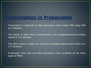 • Transcription is catalyzed by RNA polymerase which makes RNA using DNA
as a template.
• The strand of DNA which is transcribed is the template/sense/non-coding
strand in 3’-5’ direction.
• The other strand is called non sense/non template/coding strand which is in
5’-3’ direction.
• Prokaryotes have only one RNA polymerase which synthesis all the three
types of RNA’s.
 