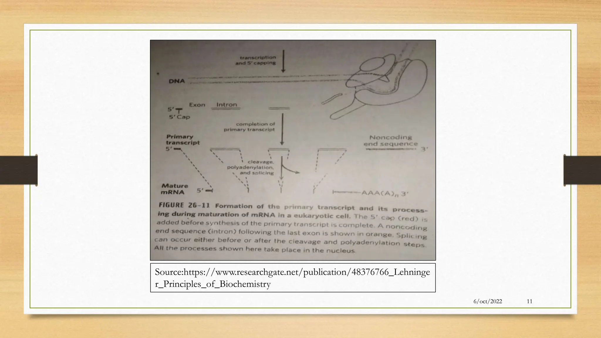 6/oct/2022 11
Source:https://www.researchgate.net/publication/48376766_Lehninge
r_Principles_of_Biochemistry
 