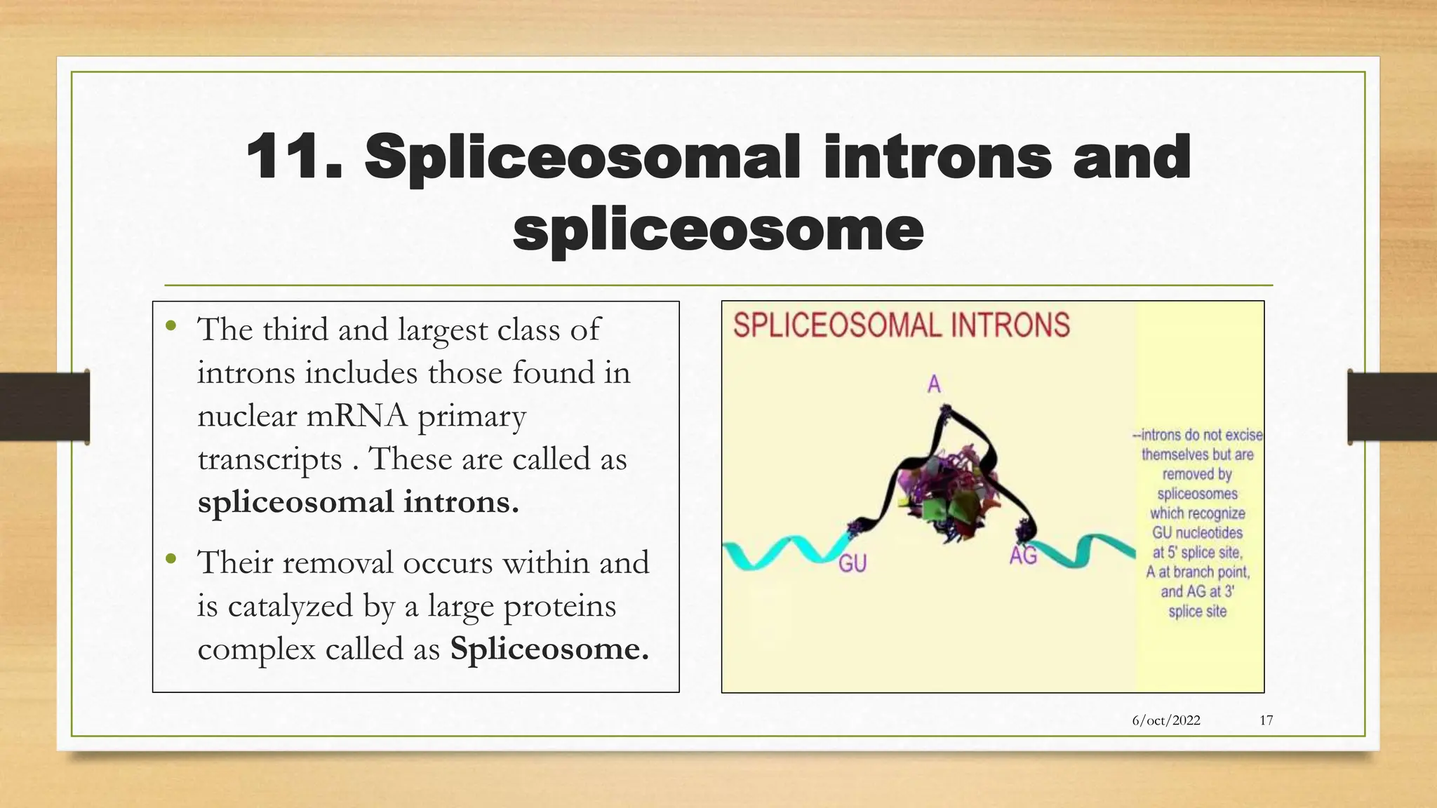 11. Spliceosomal introns and
spliceosome
• The third and largest class of
introns includes those found in
nuclear mRNA primary
transcripts . These are called as
spliceosomal introns.
• Their removal occurs within and
is catalyzed by a large proteins
complex called as Spliceosome.
6/oct/2022 17
 