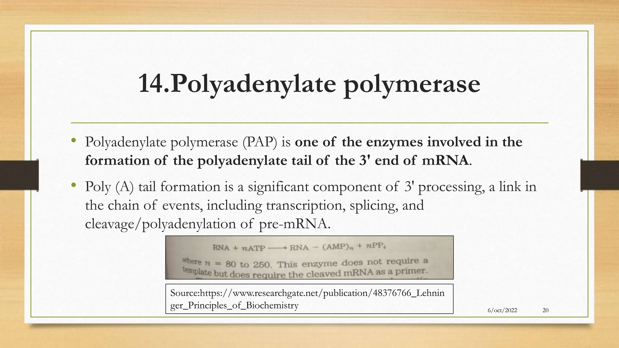 14.Polyadenylate polymerase
• Polyadenylate polymerase (PAP) is one of the enzymes involved in the
formation of the polyadenylate tail of the 3' end of mRNA.
• Poly (A) tail formation is a significant component of 3' processing, a link in
the chain of events, including transcription, splicing, and
cleavage/polyadenylation of pre-mRNA.
6/oct/2022 20
Source:https://www.researchgate.net/publication/48376766_Lehnin
ger_Principles_of_Biochemistry
 