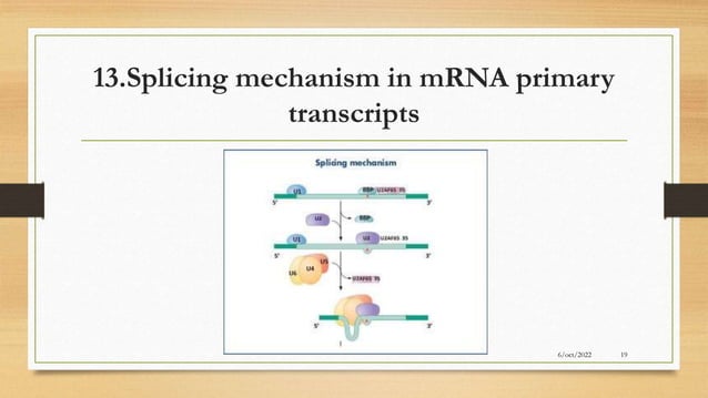 RNA SYNTHESIS AND SPLICING "biochemistry | PPTX