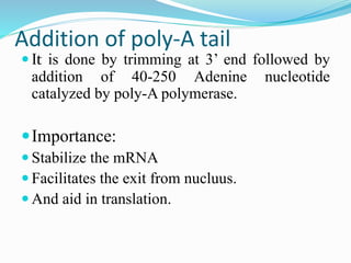 RNA synthesis, processing and modification.pptx